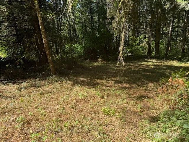 20325 Bucoda Highway SE Centralia, WA 98531