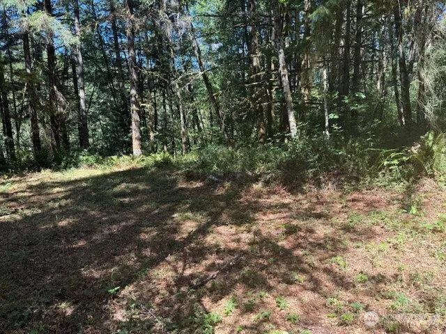 20325 Bucoda Highway SE Centralia, WA 98531