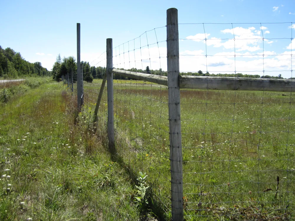 1997 E Townline Road Free Soil, MI 49411