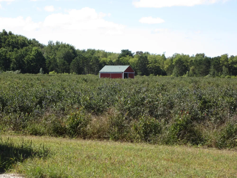 1997 E Townline Road Free Soil, MI 49411