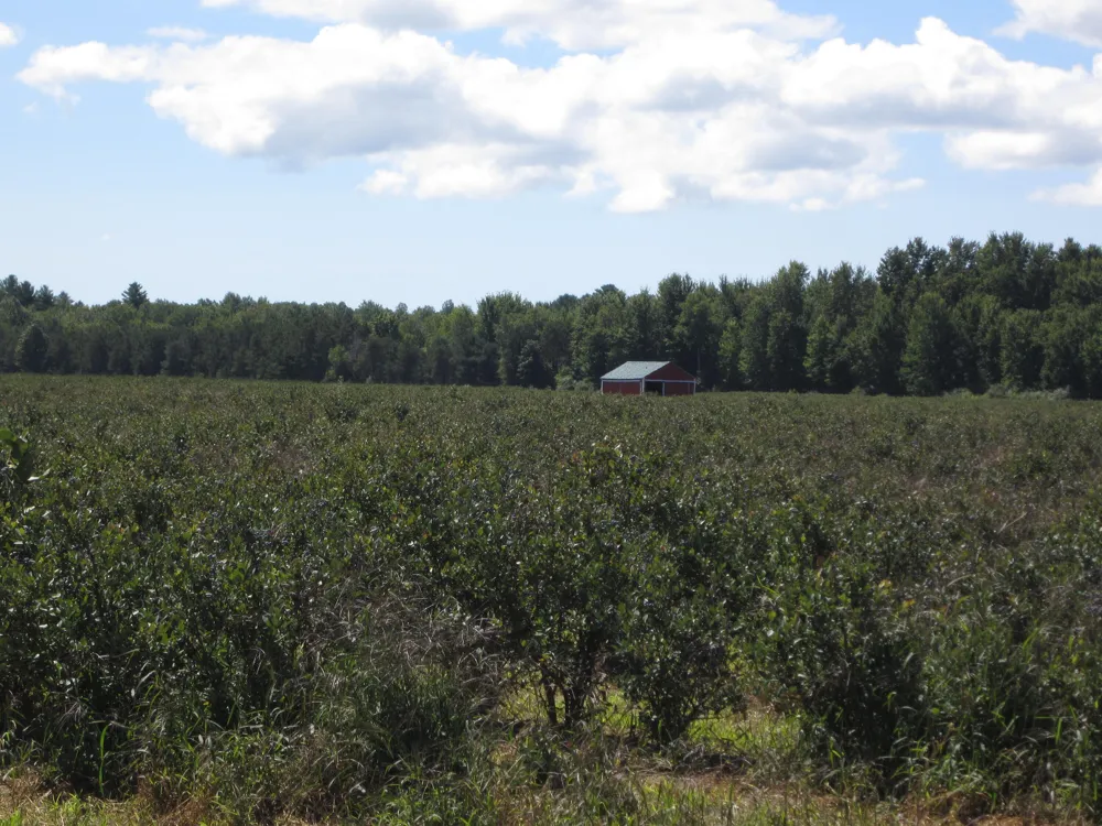 1997 E Townline Road Free Soil, MI 49411