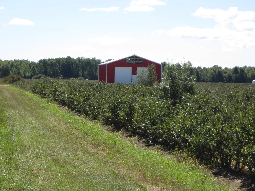 1997 E Townline Road Free Soil, MI 49411