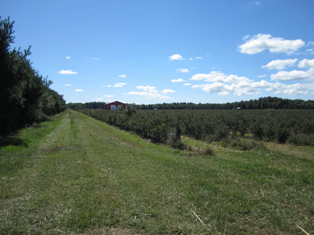 1997 E Townline Road Free Soil, MI 49411