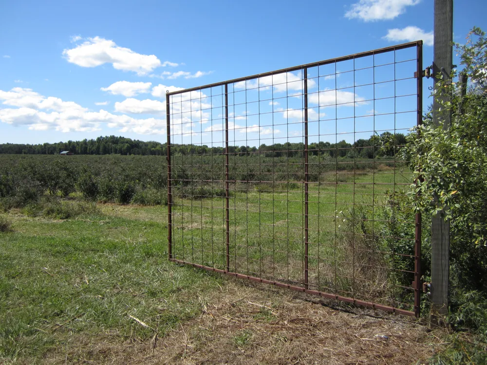 1997 E Townline Road Free Soil, MI 49411