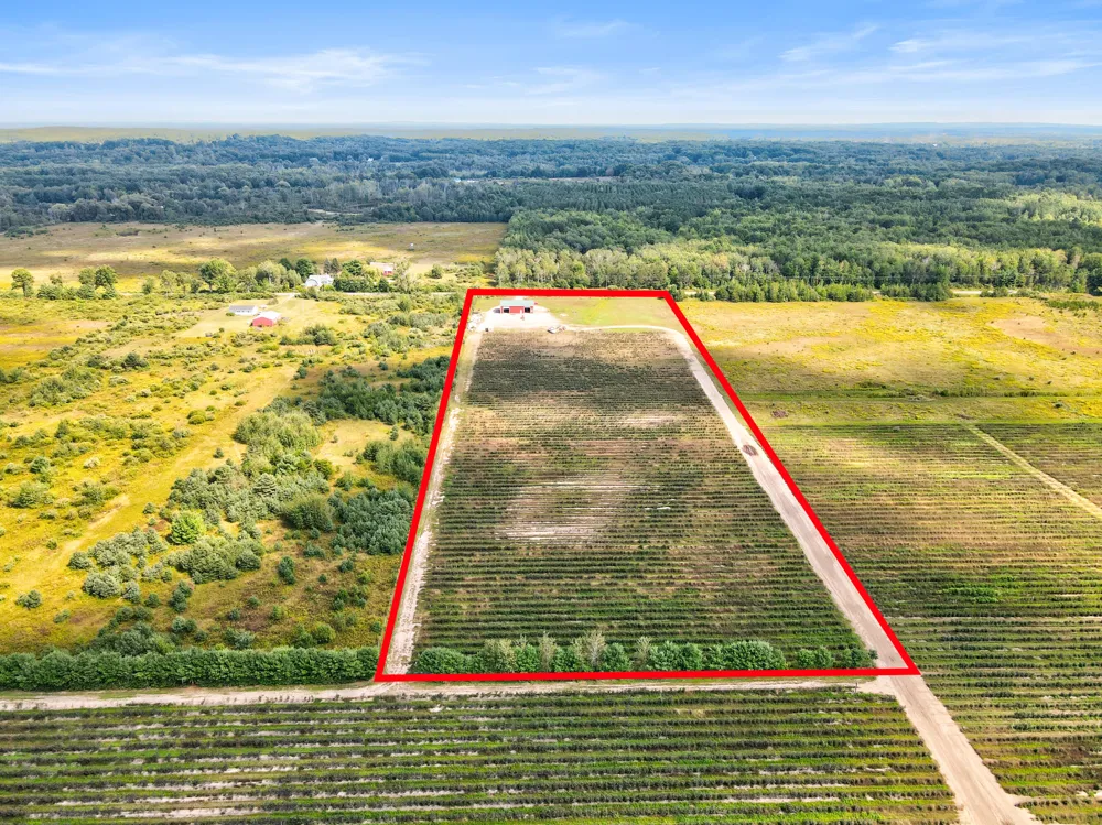 1997 E Townline Road Free Soil, MI 49411