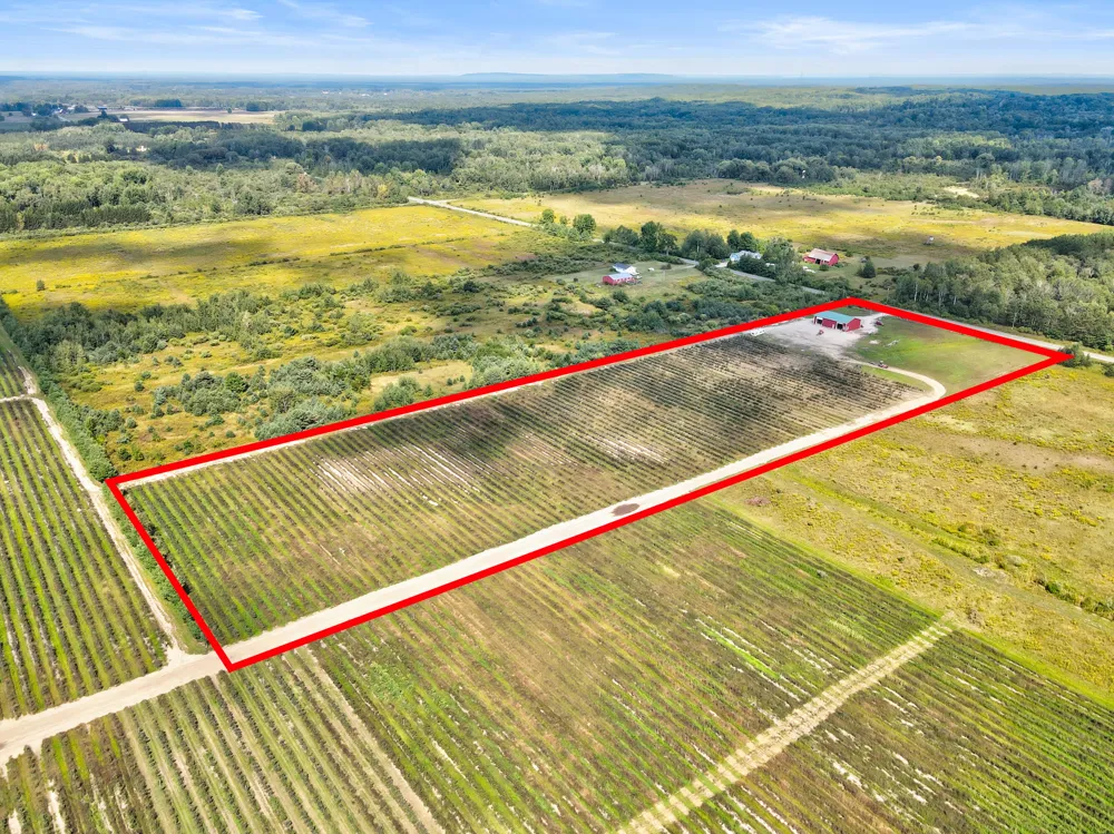 1997 E Townline Road Free Soil, MI 49411