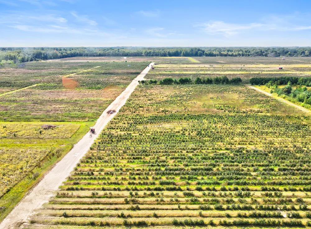 1997 E Townline Road Free Soil, MI 49411