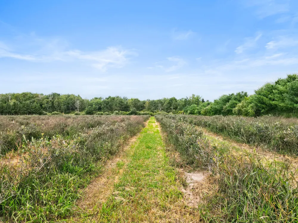 1997 E Townline Road Free Soil, MI 49411