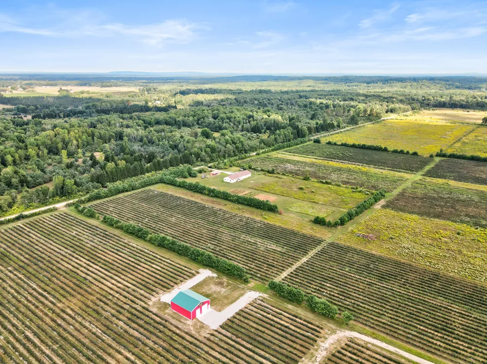 1997 E Townline Road Free Soil, MI 49411
