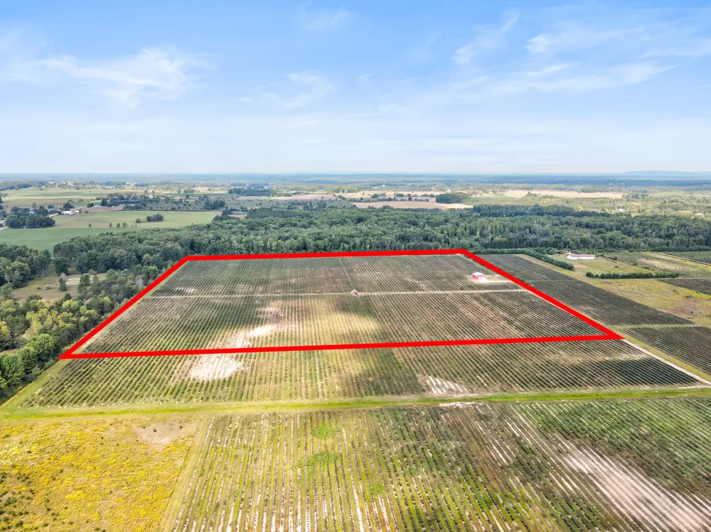 1997 E Townline Road Free Soil, MI 49411