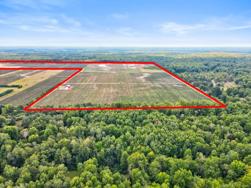 1997 E Townline Road Free Soil, MI 49411