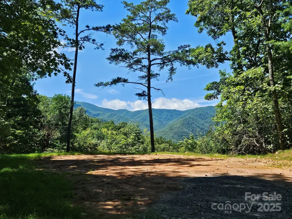 0 Blue Vista Road #1 Canton, NC 28716