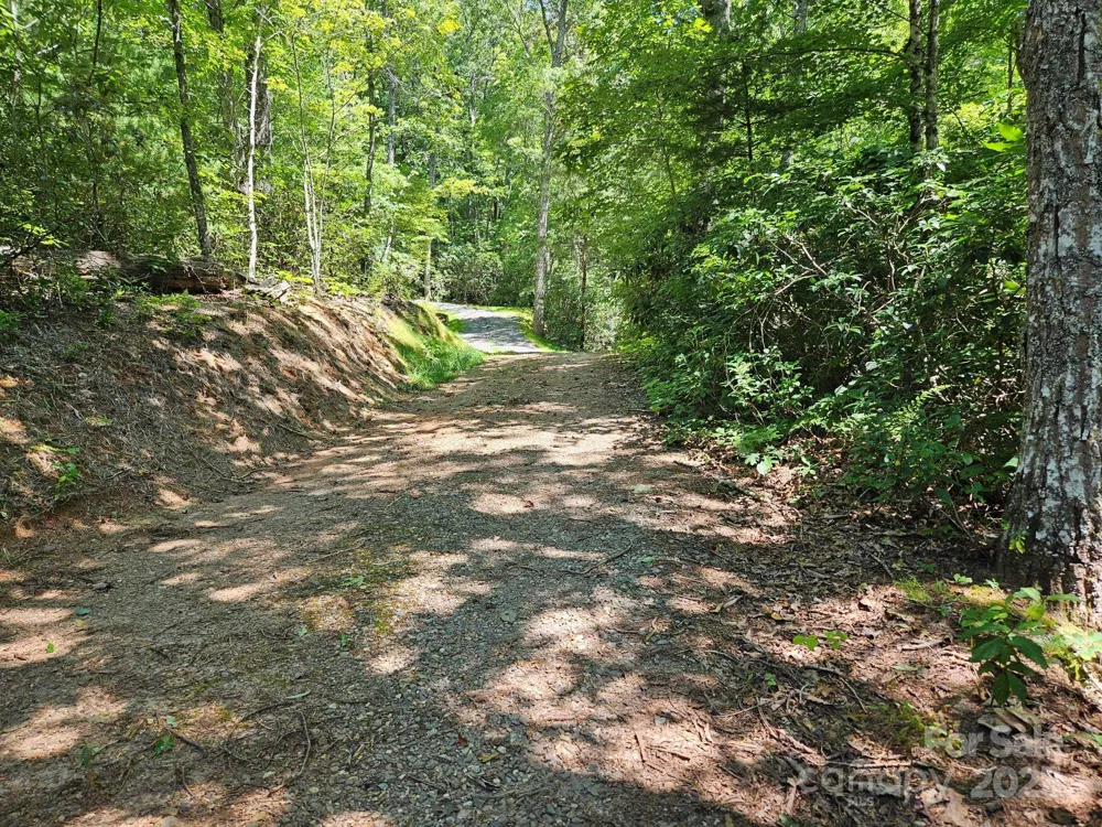 0 Blue Vista Road #1 Canton, NC 28716