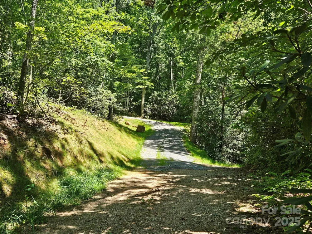 0 Blue Vista Road #1 Canton, NC 28716