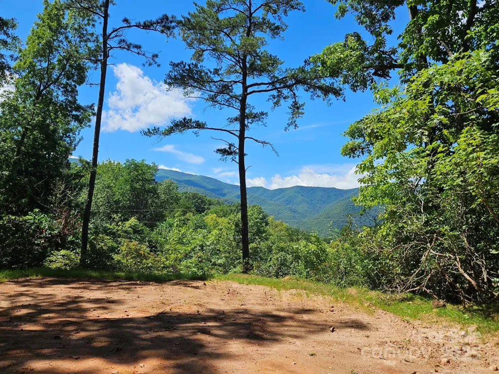 0 Blue Vista Road #1 Canton, NC 28716