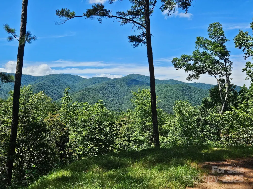0 Blue Vista Road #1 Canton, NC 28716