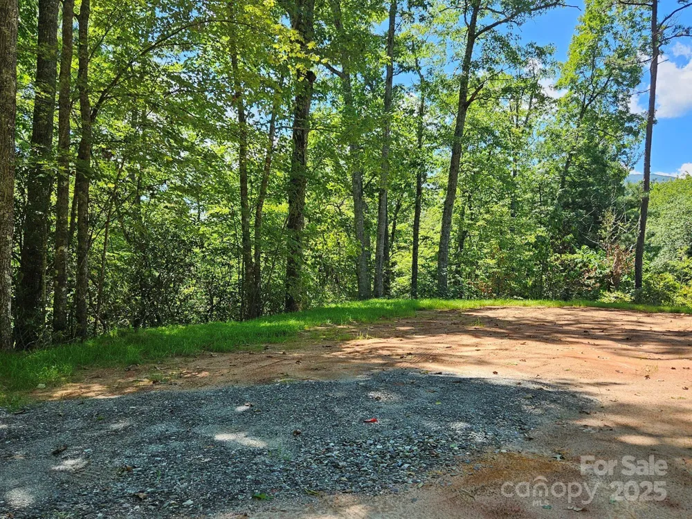 0 Blue Vista Road #1 Canton, NC 28716