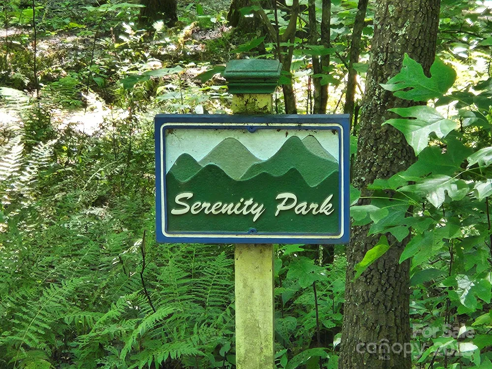 0 Blue Vista Road #1 Canton, NC 28716