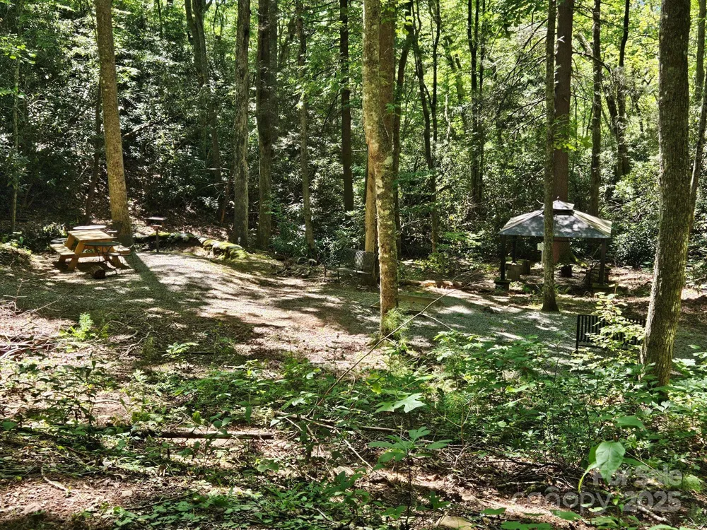 0 Blue Vista Road #1 Canton, NC 28716
