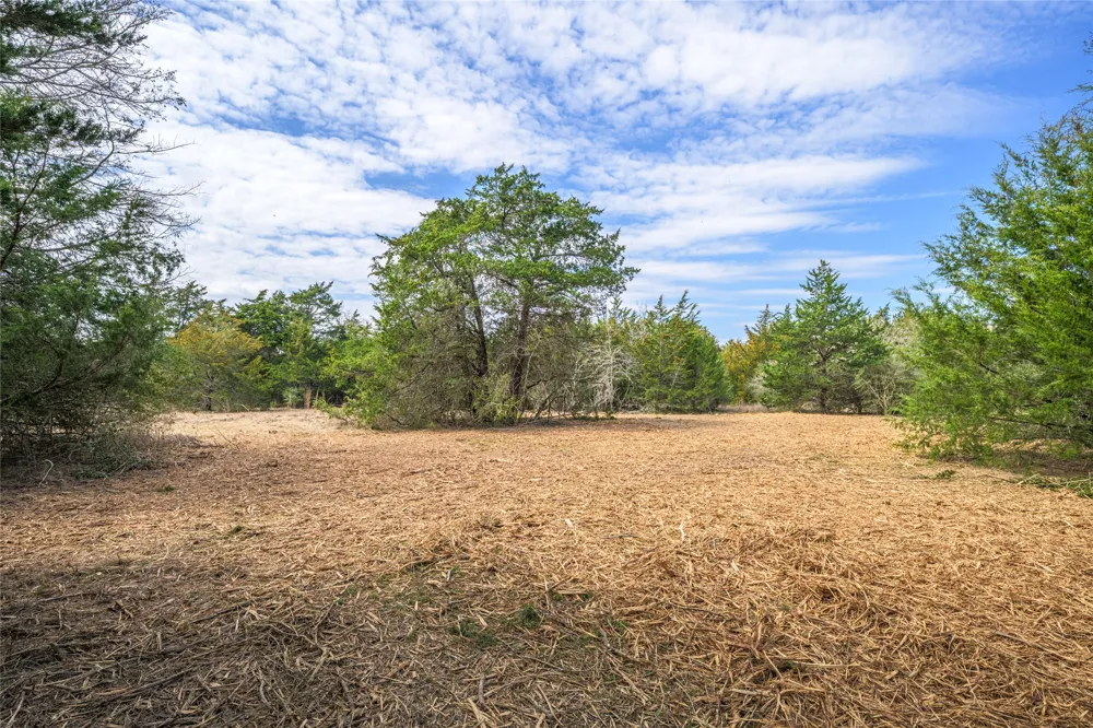 4 Independence Street Carmine, TX 78932