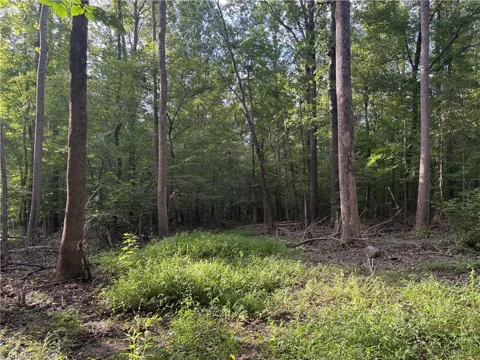 7149 Nature Road