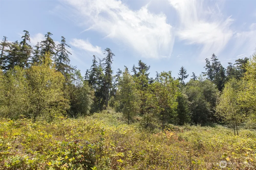 9999 Discovery Road Port Townsend, WA 98368