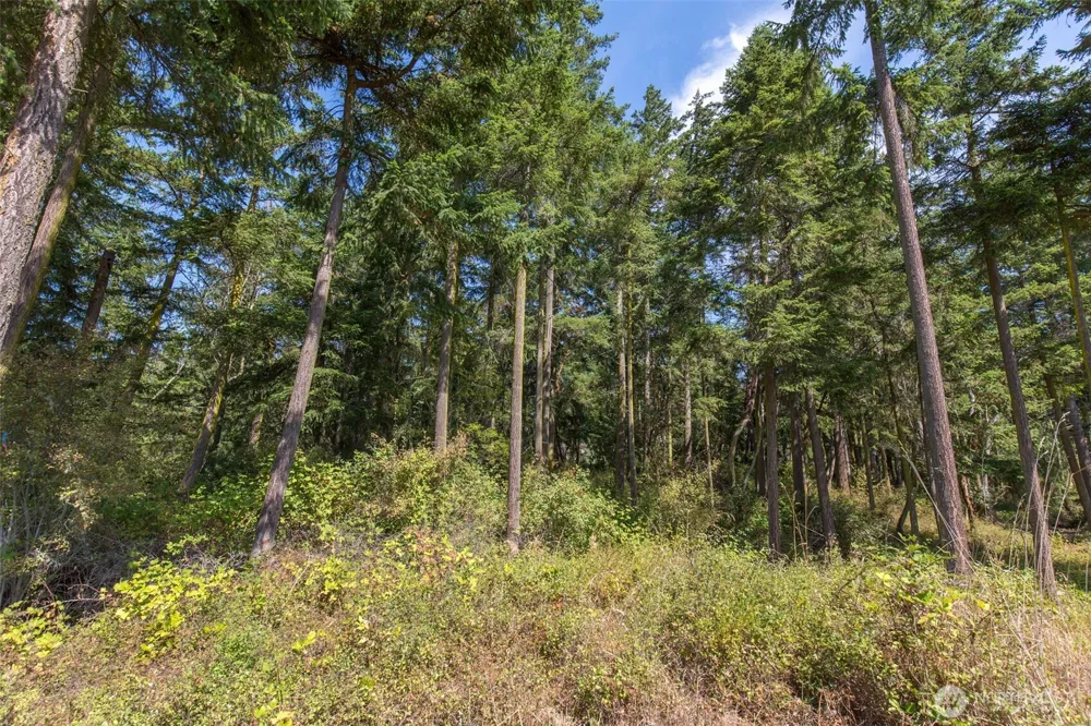 9999 Discovery Road Port Townsend, WA 98368