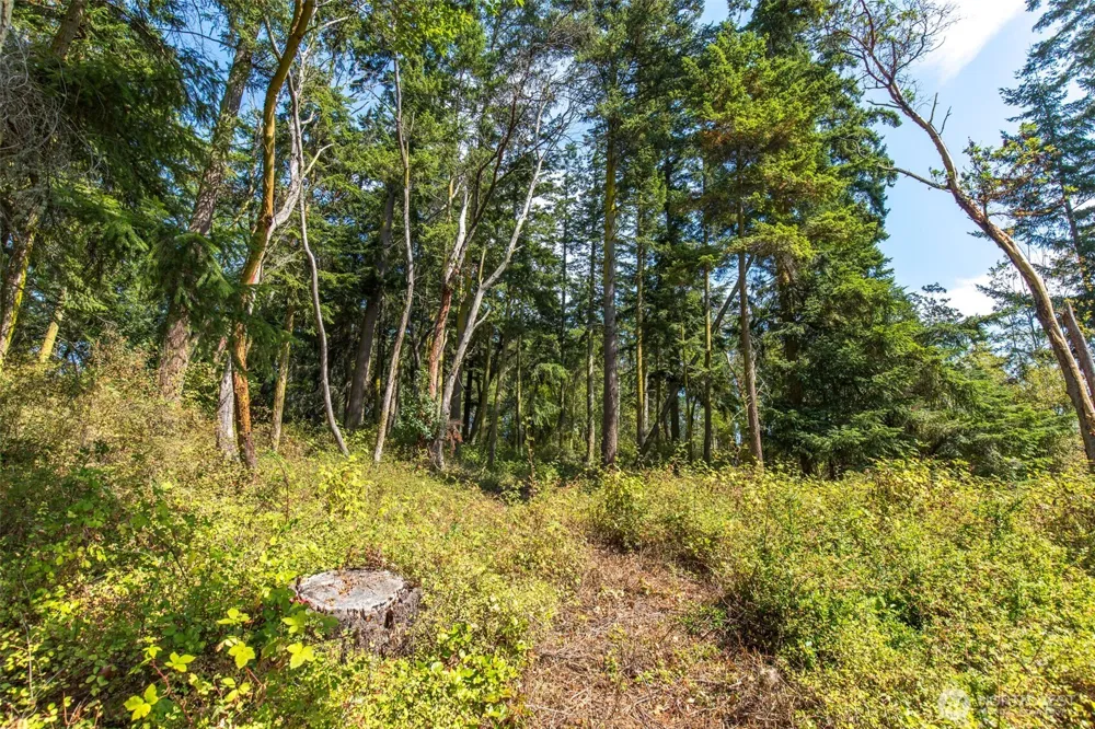 9999 Discovery Road Port Townsend, WA 98368