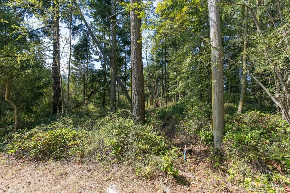 9999 Discovery Road Port Townsend, WA 98368