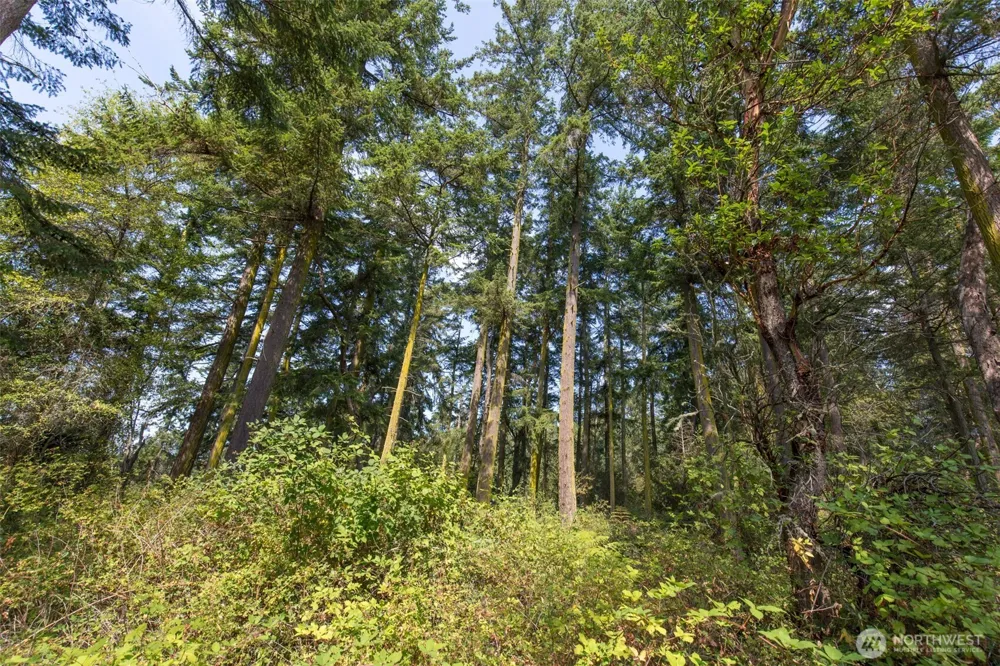 9999 Discovery Road Port Townsend, WA 98368