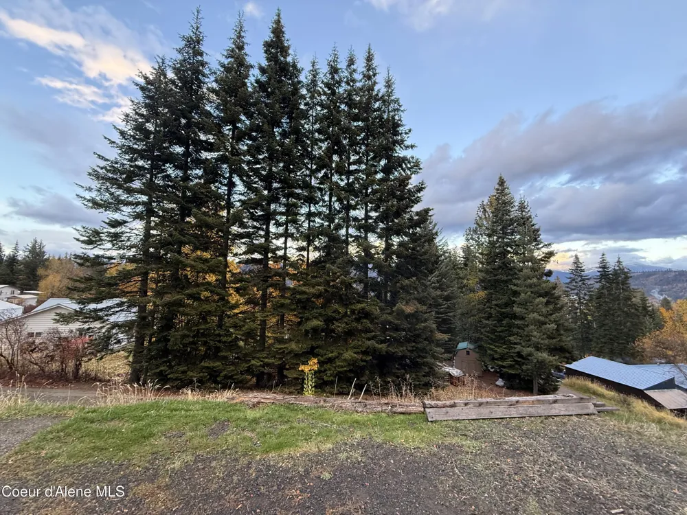 1828 Boundary Lp St. Maries, ID 83861