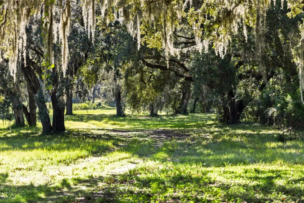 14765 US HIGHWAY 41 Spring Hill, FL 34610
