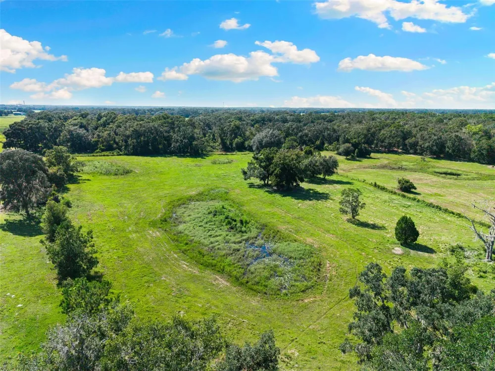 14765 US HIGHWAY 41 Spring Hill, FL 34610