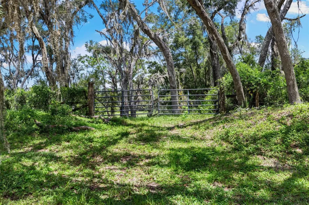 14765 US HIGHWAY 41 Spring Hill, FL 34610