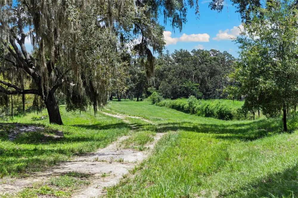 14765 US HIGHWAY 41 Spring Hill, FL 34610