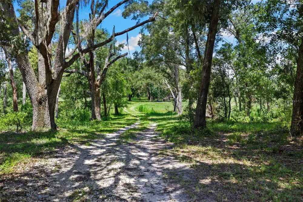 14765 US HIGHWAY 41 Spring Hill, FL 34610