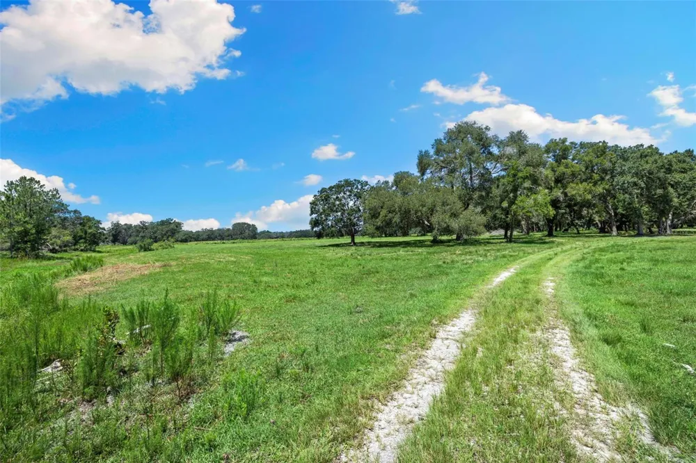 14765 US HIGHWAY 41 Spring Hill, FL 34610