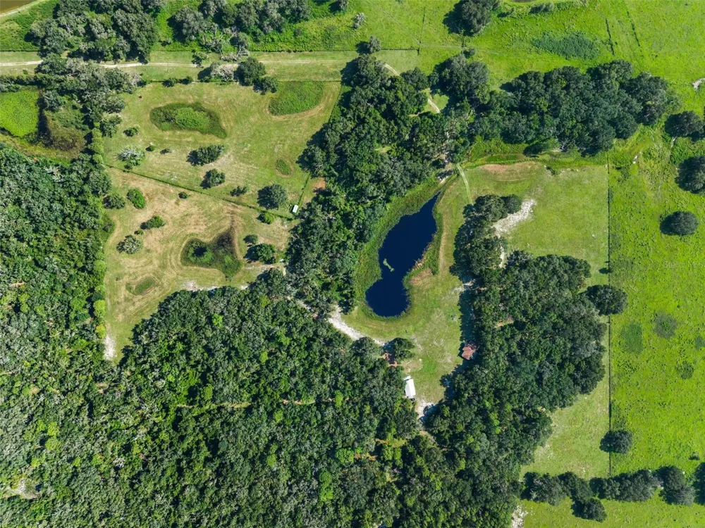 14765 US HIGHWAY 41 Spring Hill, FL 34610