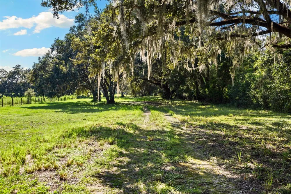 14765 US HIGHWAY 41 Spring Hill, FL 34610