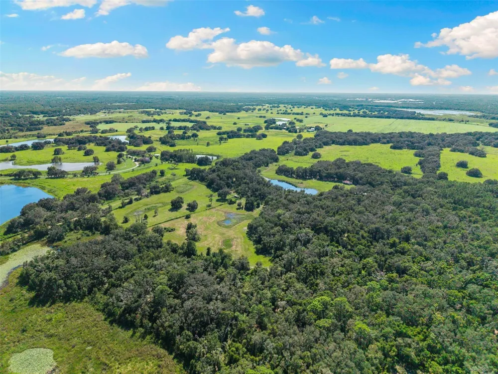 14765 US HIGHWAY 41 Spring Hill, FL 34610