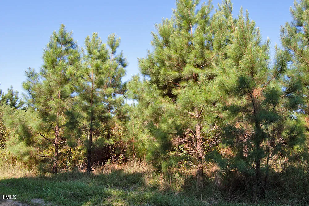0 Nc Highway 33 Tarboro, NC 27886