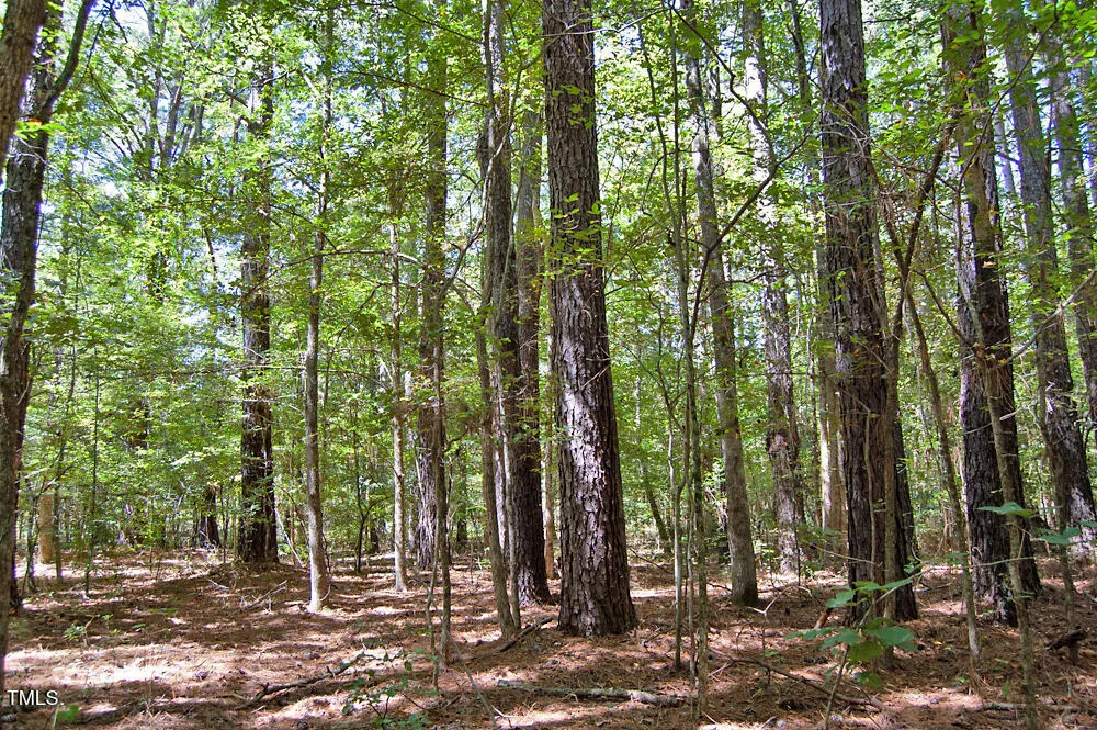 0 Nc Highway 33 Tarboro, NC 27886