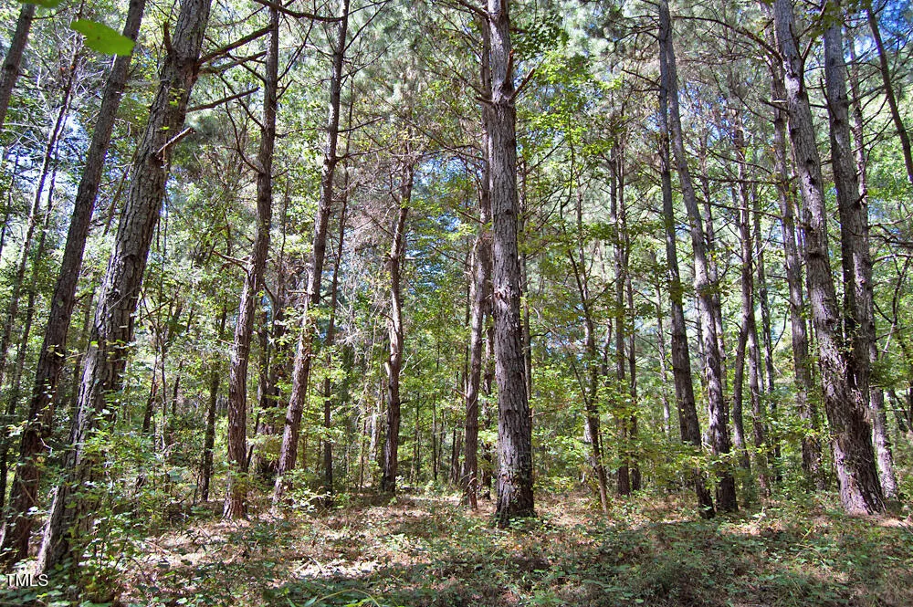 0 Nc Highway 33 Tarboro, NC 27886