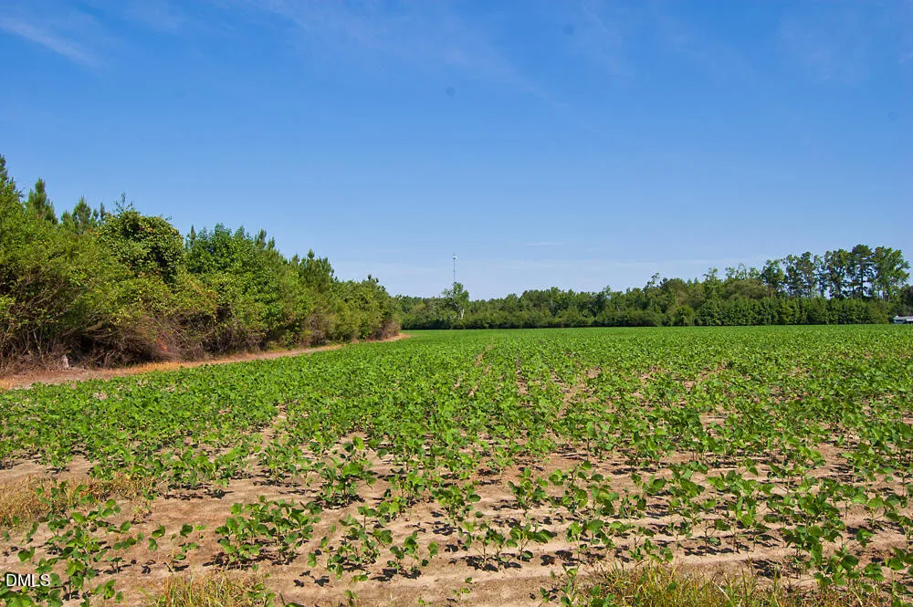 0 Nc Highway 33 Tarboro, NC 27886