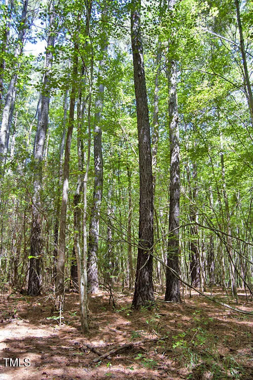 0 Nc Highway 33 Tarboro, NC 27886