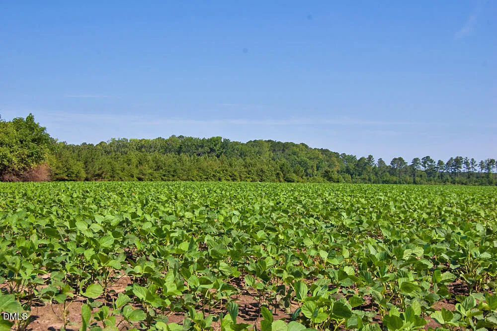 0 Nc Highway 33 Tarboro, NC 27886