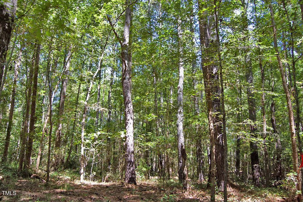 0 Nc Highway 33 Tarboro, NC 27886