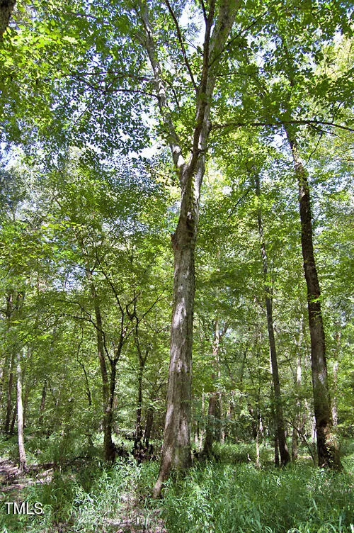 0 Nc Highway 33 Tarboro, NC 27886