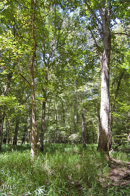 0 Nc Highway 33 Tarboro, NC 27886