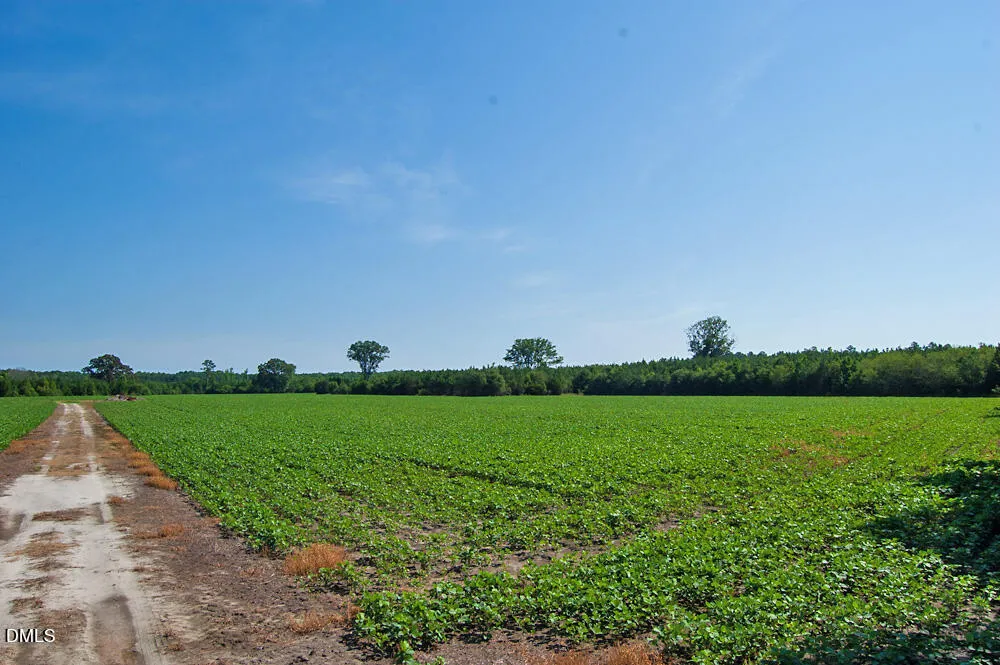 0 Nc Highway 33 Tarboro, NC 27886